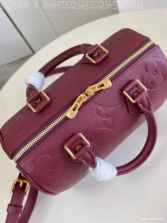 Rep ladies BANDOULIÈRE SPEEDY 25 LOUIS VUITTON 0529